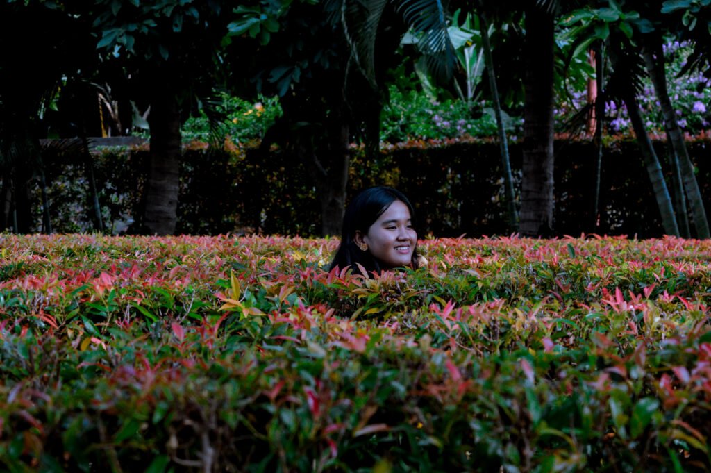 Teenager Entering Mini Syzygium Oleana Labyrinth in a Lush Garden